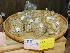 下栗いもは小粒だがでんぷん価が高い。上村の特産品直売所で