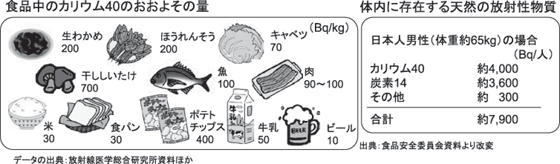 食品中のカリウム40のおおよその量