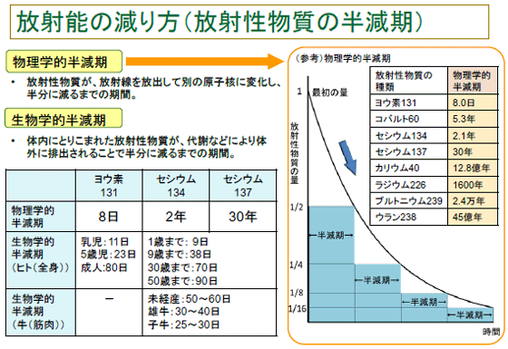 放射能の減り方