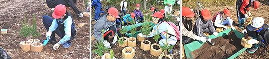 第１回「スミチオン剤50周年記念の森」植樹作業の様子