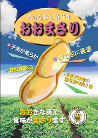 15年ほど前から品種改良に取り組んだ超大粒の「おおまさり」