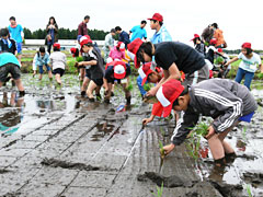 あぐりスクールで田植え体験する子どもたち