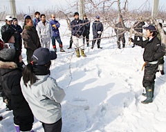 冬場の剪定を学ぶ農業後継者研修