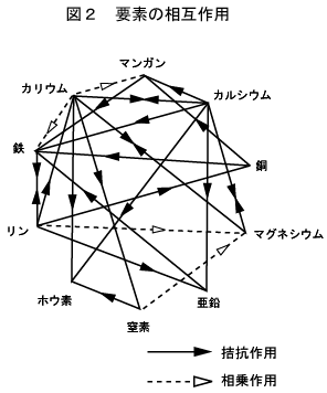 要素の相互作用