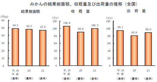 ミカンの結果樹面積、収穫量・出荷量