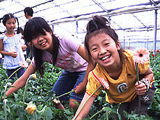 子ども農業体験で地域にも貢献