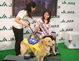 介助犬のデモンストレーション