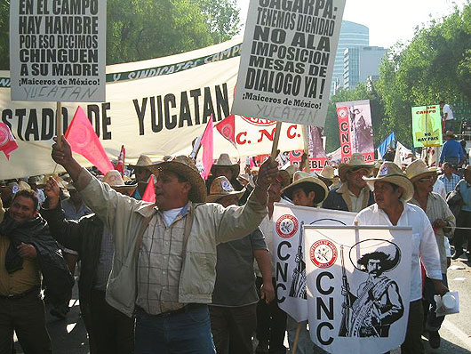農産物の輸入自由化に反対し、北米自由貿易協定の農業条項見直しなどを求める農民や市民ら＝08年1月31日、メキシコ市＝「しんぶん赤旗」提供