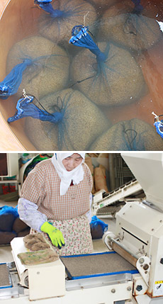 「エコホープ」処理中の種籾（写真上）と消毒後の種籾を苗箱に播種・覆土