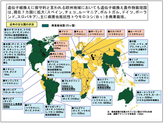 遺伝子組換え農作物栽培国