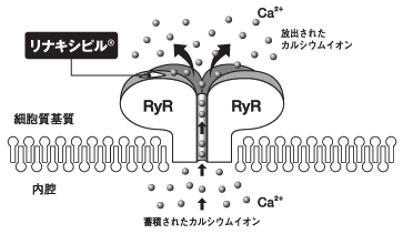 toku09103004.gif