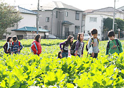 笑顔で収穫に訪ずれた子どもたち