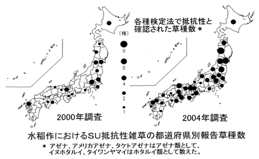 水稲作におけるＳＵ抵抗性雑草の都道府県別報告草種数