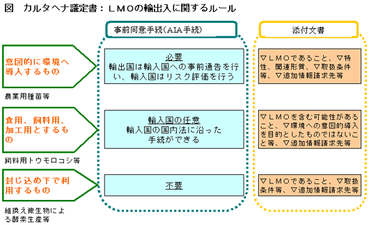 カルタヘナ議定書のＬＭＯの輸出入に関するルール