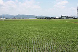 ＪＡくるめ（福岡県）西南地区