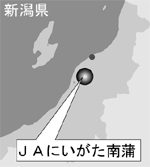 ＪＡにいがた南蒲