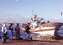 漁船（イメージです）