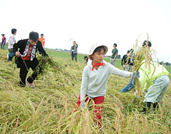 都市住民と農家の交流が広がる