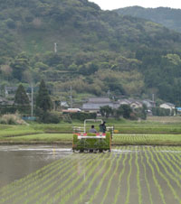 田植え風景