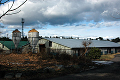 岩手県岩泉町の上野牧場