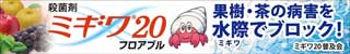 250501　ミギワ20　SP