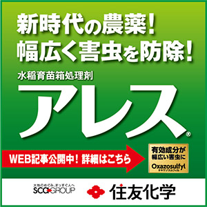 住友化学右正方形PC：2023