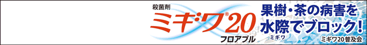 250501　ミギワ20　PC