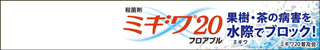 250501　ミギワ20　SP