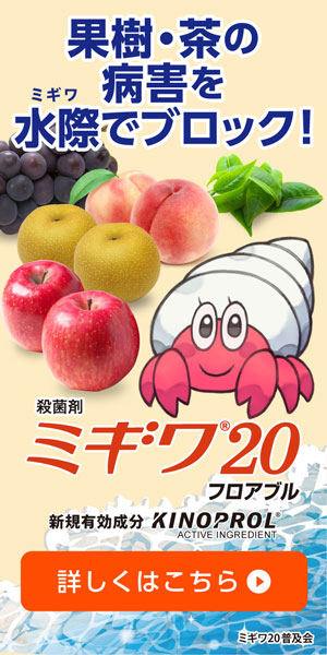 260401_ミギワ20　SP