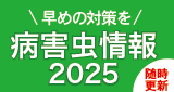左カラム_病害虫情報2021