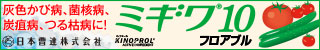 241029・日本曹達 ミギワ10右上長方形SP