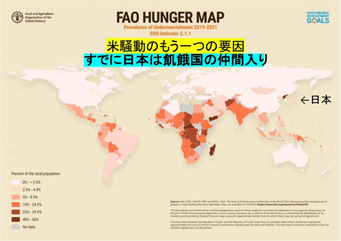 国連が公開した世界の飢餓状況を表した世界地図「ハンガーマップ」（2019-2021年）