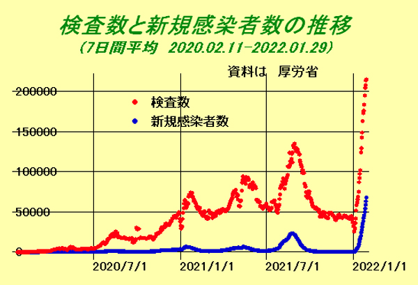 検査数と新規感染者数の推移