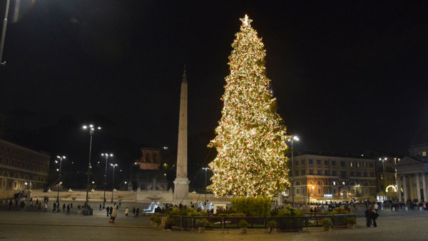 ローマのポポロ広場のクリスマスツリー