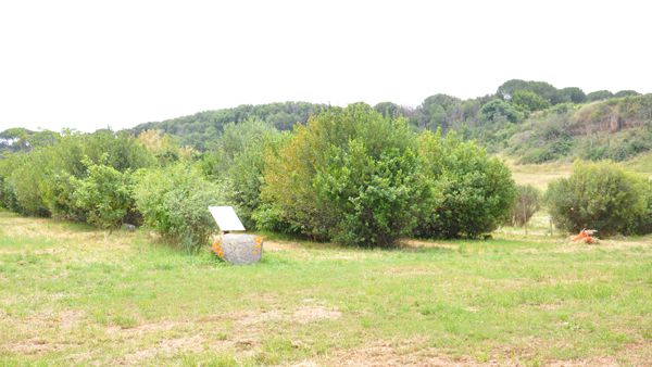 イタリア統一古木庭園