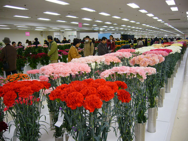 東京池袋で開かれた第72回関東東海花の展覧会