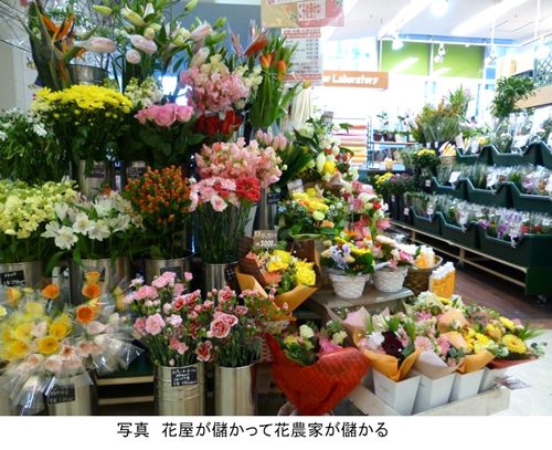 花コラム写真67（宇田）