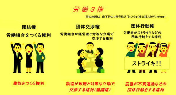 原稿制度としての農協の再検討【森島　賢・正義派の農政論】