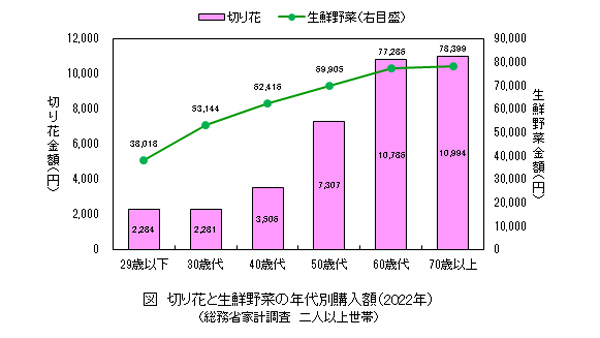 切り花と生鮮野菜の年代別購入額（2022年）