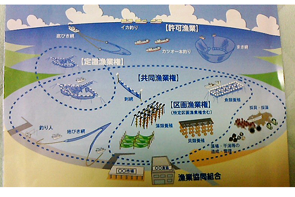 漁業権の解説