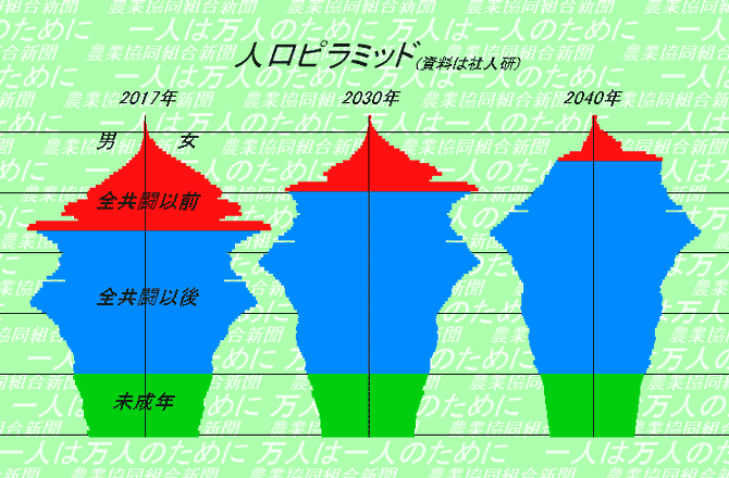 人口ピラミッド（森島　賢・正義派の農政論）