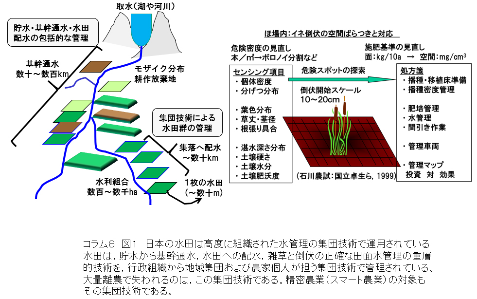 【澁澤栄・精密農業とは】ちょっとずれてないか、水田スマート農業、百年の経験を科学に