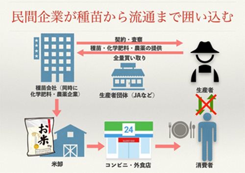 印鑰智哉『種苗法改正その後』