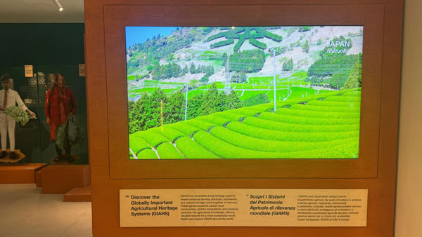 展示されている日本の風景