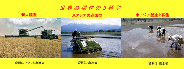 大規模稲作一辺倒は亡国への道【森島　賢・正義派の農政論】