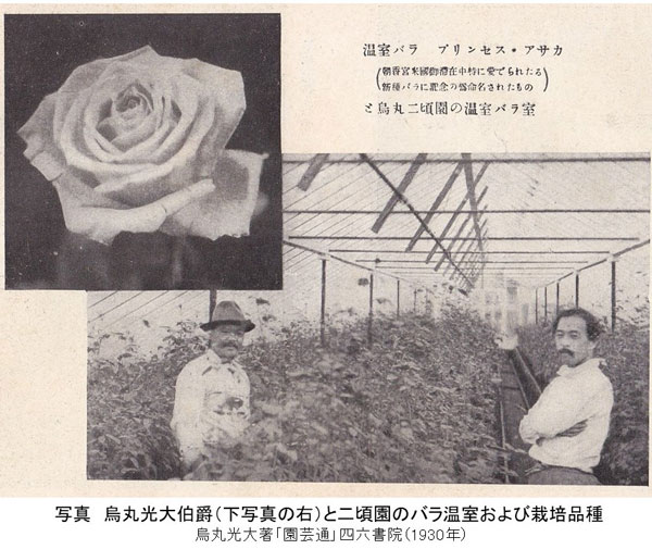 鳥丸光大伯爵（右）と二頃園のバラ温室及び栽培品種
