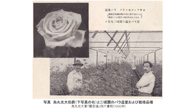 鳥丸光大伯爵（右）と二頃園のバラ温室及び栽培品種ｓ.jpg