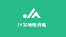 宮崎.jpg