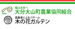 大分大山町農業協同組合ロゴ