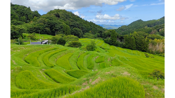 森里川海や農林水産業・食農関連産業のネイチャーポジティブへ　農林中金と連携協定　NACS-J.jpg